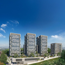 נשארים בכרמל, אך עוברים דירה לסטנדרט חדש