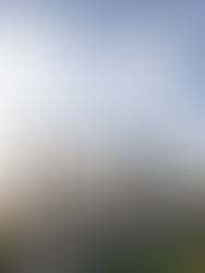 הכתובת שמגדירה את מרכז הכרמל מחדש