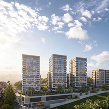 הכתובת שמגדירה את מרכז הכרמל מחדש