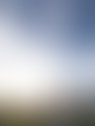 הגיל שבו בוחרים מדויק