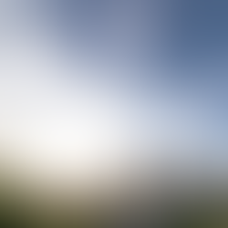 הגיל שבו בוחרים מדויק