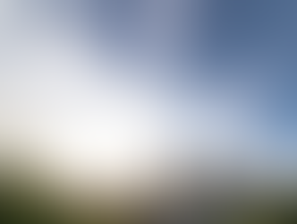 הגיל שבו בוחרים מדויק