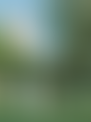 "אני מסוגלת לדמיין אותנו שם": החלום הירוק של משפחת להב הולך להתגשם ב־GreenSide בת ים