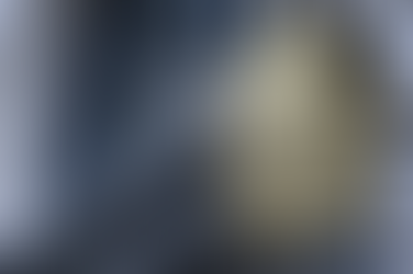 Réforme de la déontologie et de la responsabilité des notaires