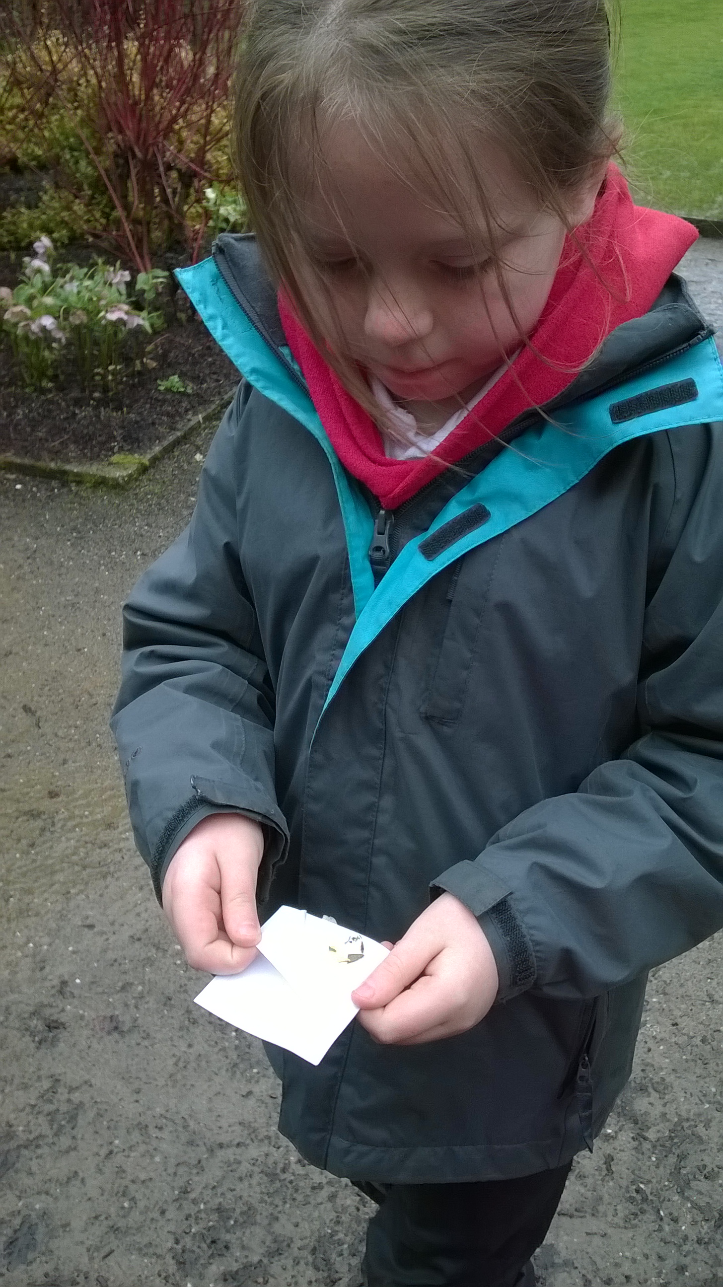 Year 3 & 4 at Rosemoor (Feb 15)