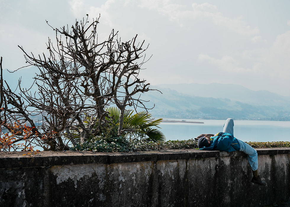 Person in blue jacket lies on stone wall, under a leafless tree by a calm lake, mountains in background. Relaxed, serene mood.