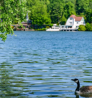 LAC DE GENVAL : LA CÔTE D'AZUR BELGE