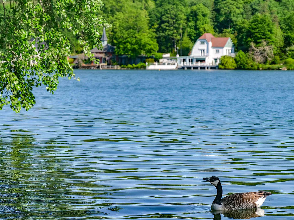 Lac de Genval: de Belgische Côte d’Azur / La Hulpe, Genval, Overijse (FR wandeling)