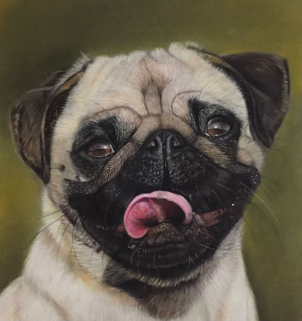 Tony | Pastel