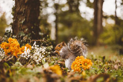 Photo Oct 27, 7 59 15 PM