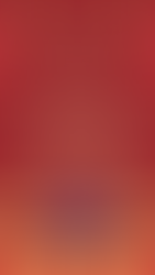 2026 Year of The Horse Greeting