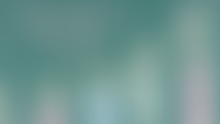 Wis Australia Newsletter - April 2024