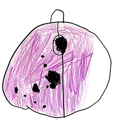 写真 2019-11-05 午前10 58 03 (1).png