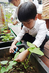 c3baa694534acbf70ea2b4d1eab4b0bc7_450131