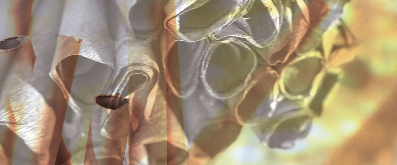 banner底圖_工作區域 1 複本 2.jpg