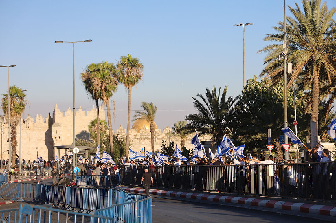 flag march.JPG