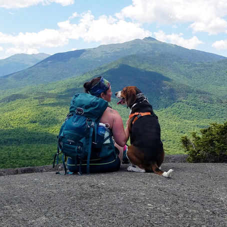 Reframe Your Brain Part 2: Healing Trigger Wounds