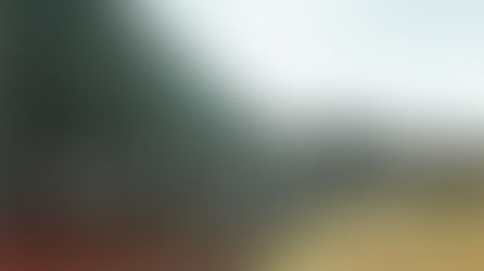 Borders: Shaping Order, Securing Stability