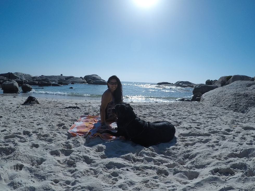 Beach days with Douglas