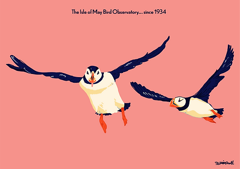 puffins.png