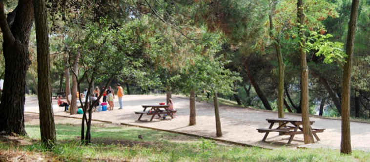 MONTJUIC.png