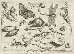 Animals, Plants and Fruits Around a Mouse, Jacob Hoefnagel, after Joris Hoefnagel, 1592