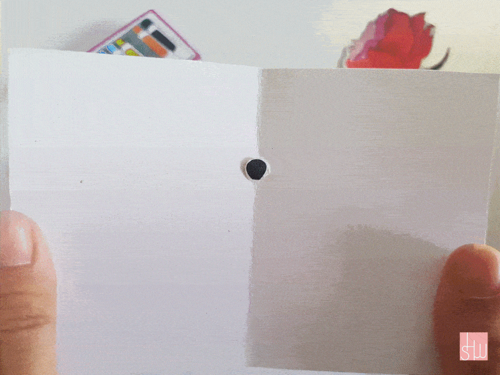 Stop motion preview.gif