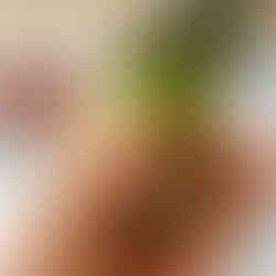 Topping a halved burrito with creamy avocado sauce