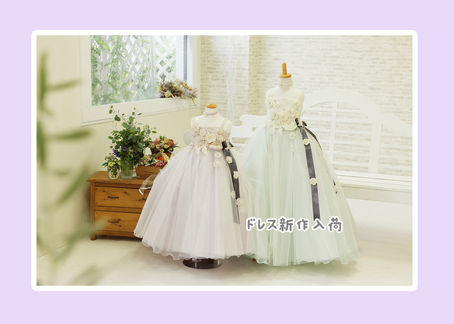 新作撮影ドレス入荷