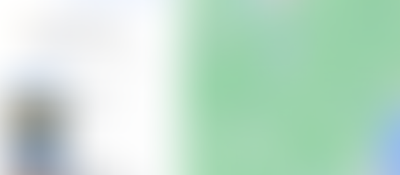 Google Flights