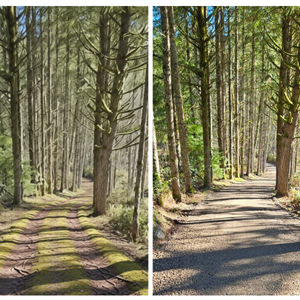 Gravel Driveway Service