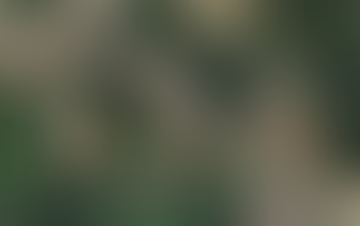 Un nuovo impianto produttivo nel territorio della provincia di Cremona