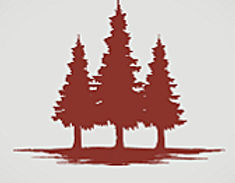 Screenshot 2025-06-19 105520_edited.jpg