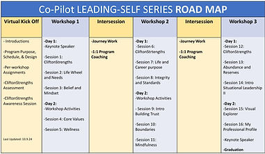 Marketing Flyer LD6 road map.jpg