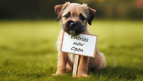 THE LONDON & HOME COUNTIES TERRIER CLUB PREMIER OPEN SHOW