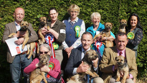 Championship Show 2019