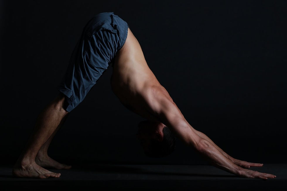 adho mukha svanasana - downward facing dog pose