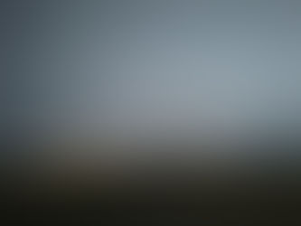 الكينونة ٢١٩