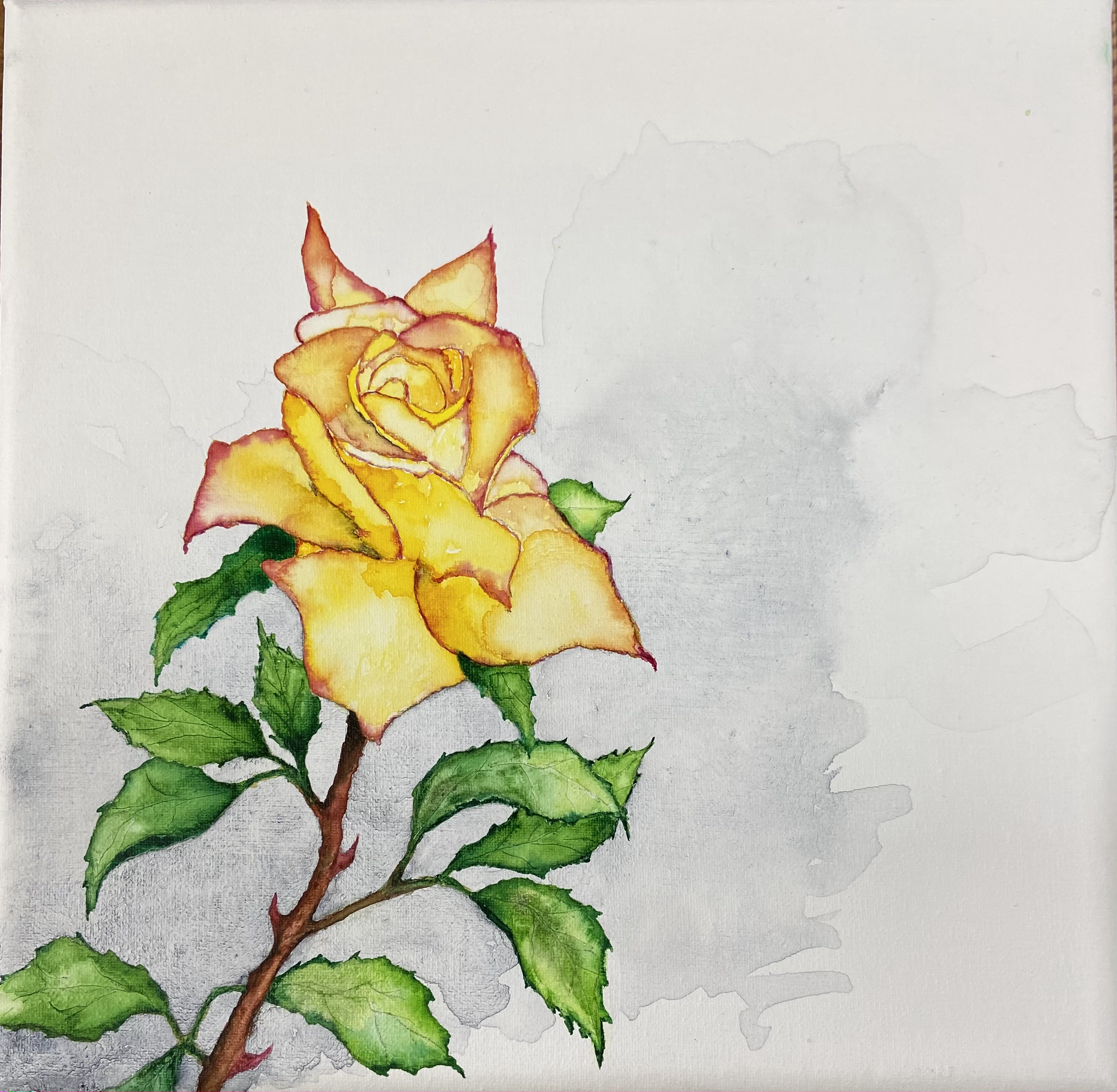 Watercolor Roses on Canvas