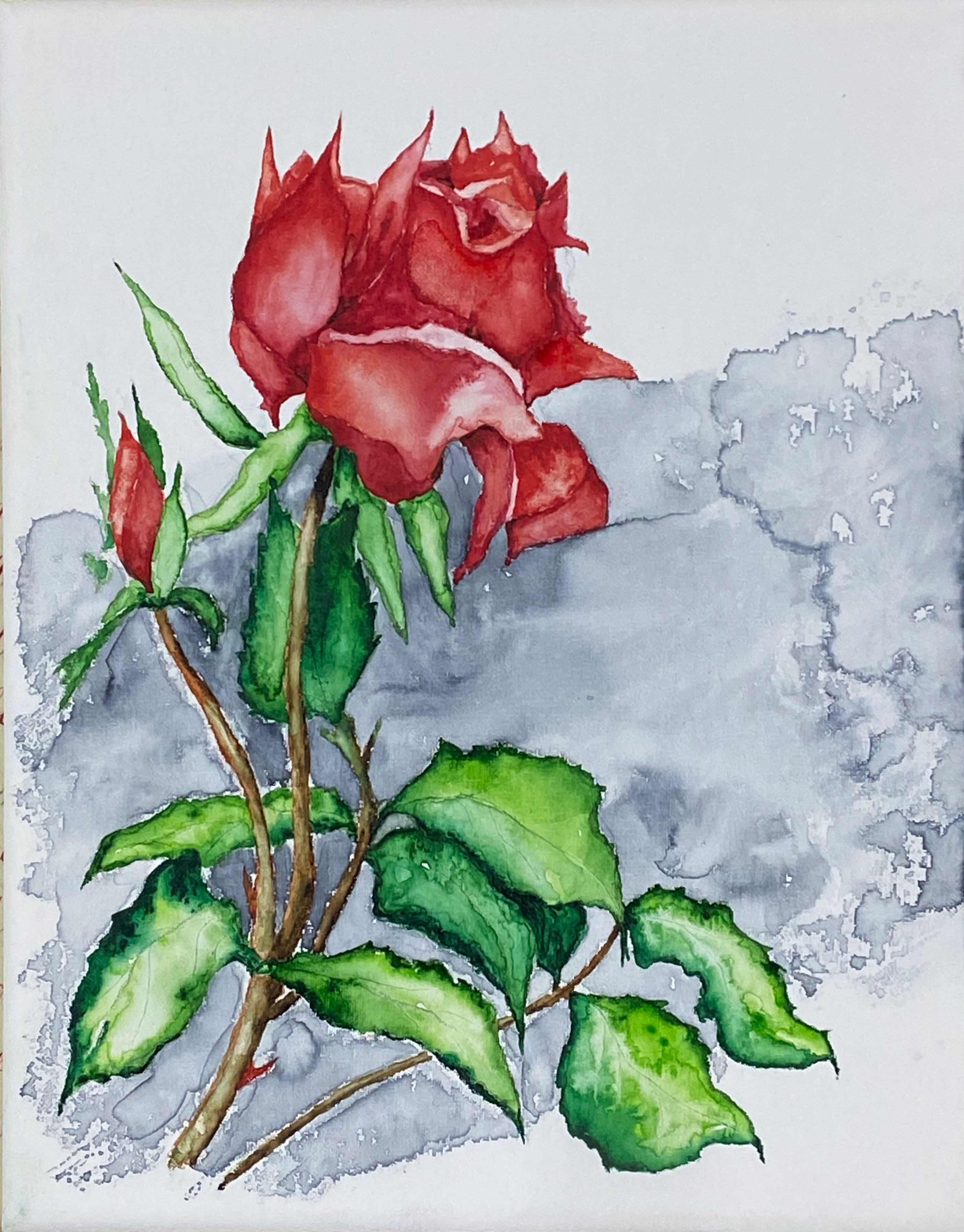 Watercolor Rose on Canvas