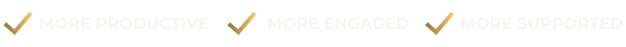 Web Graphic.png