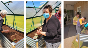 Happiness Grows When You Give