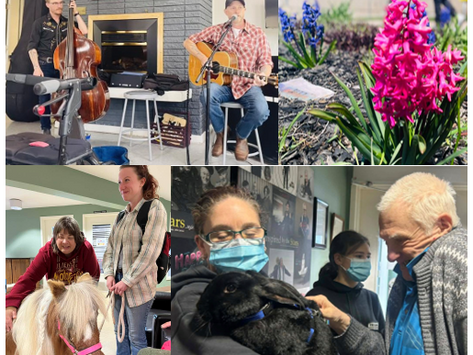 April...a month of hope and renewal