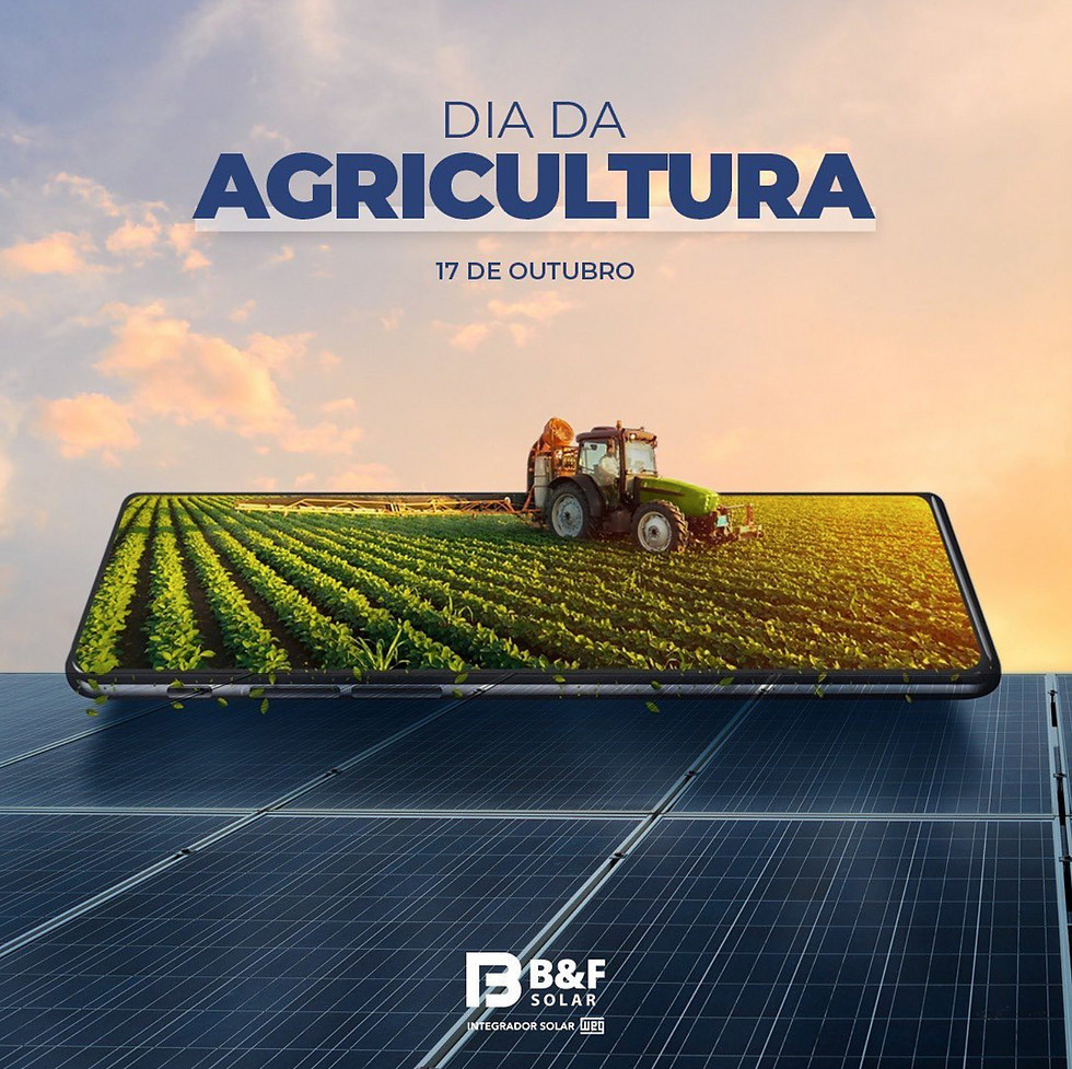 B&F Solar