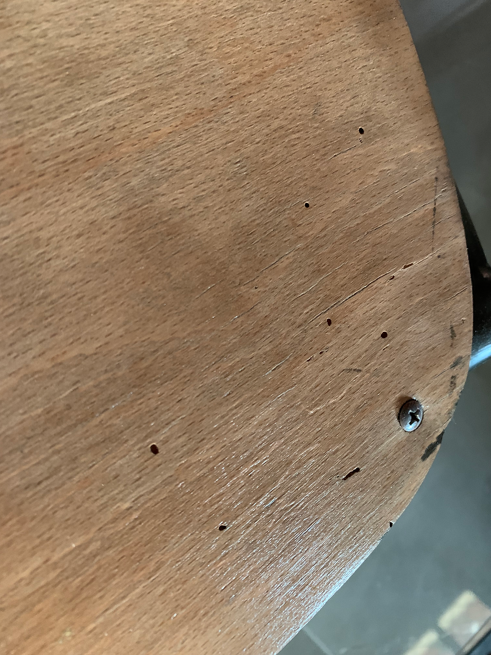 Miniature : Maxandre