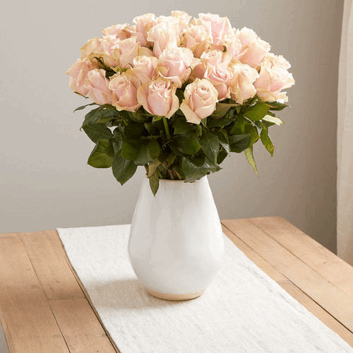 SO Gifts & Flowers Cost Reduction Club