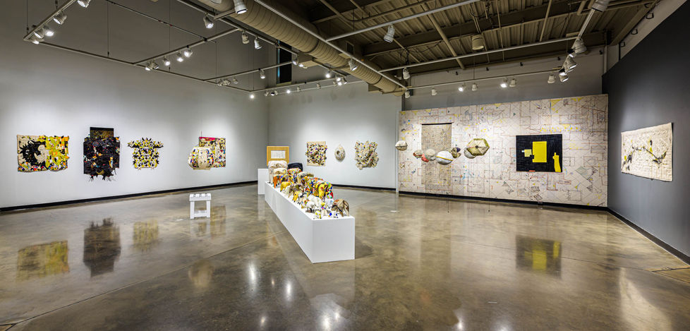 A wide view of Paula Kovarik Exhibition at APSU