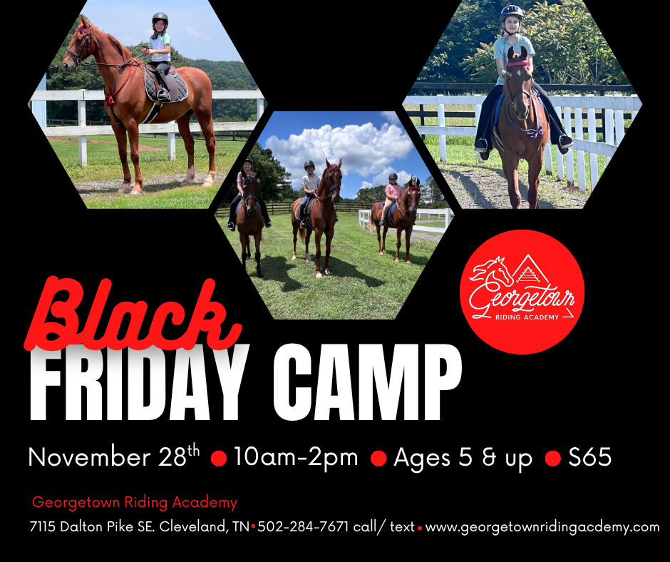 Black Friday Camp