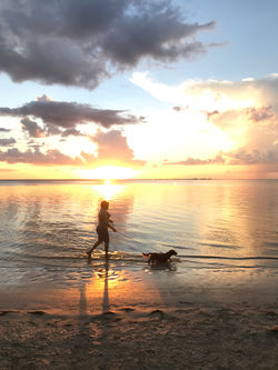 Sunset walking. Dog walking