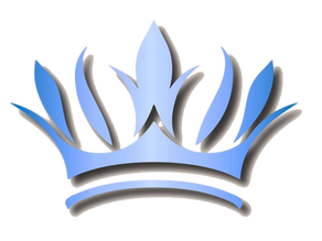 Local SEO is King - Endless Results logo